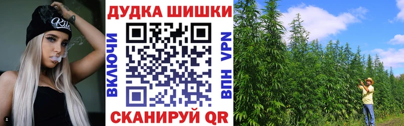 Бошки марихуана гибрид  Дмитриев 